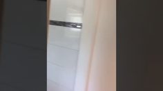 [ID: qWtpi9DTe1k] Youtube Automatic