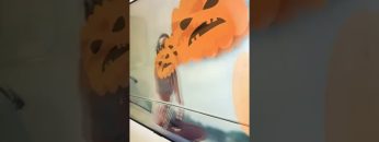 [ID: qyU4RJyNna0] Youtube Automatic
