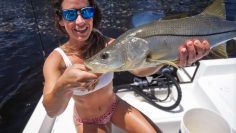 [ID: R_7qpPzbqGc] Youtube Automatic