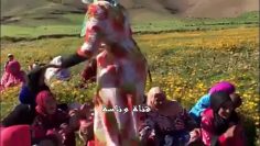 [ID: rkKbFl_UAmg] Youtube Automatic