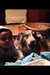 [ID: rYfkmDoOnmM] Youtube Automatic