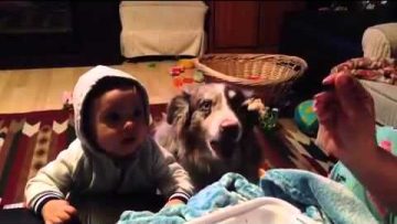 [ID: rYfkmDoOnmM] Youtube Automatic