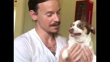 [ID: Sjt8ufc6GtY] Youtube Automatic