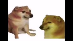 [ID: tEfsYd-VdHg] Youtube Automatic