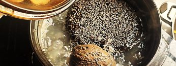 [ID: T_GG8oGgLh8] Youtube Automatic