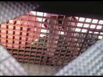 [ID: tUYSk5rS0nY] Youtube Automatic