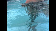 [ID: u43JpQzGpeA] Youtube Automatic