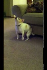 [ID: UBftA7V4xak] Youtube Automatic