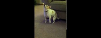 [ID: UBftA7V4xak] Youtube Automatic