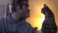 [ID: uqyHPs9D0z0] Youtube Automatic