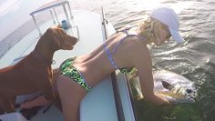 [ID: vPnZbbXn2rM] Youtube Automatic