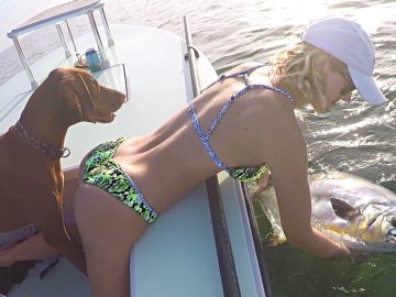 [ID: vPnZbbXn2rM] Youtube Automatic