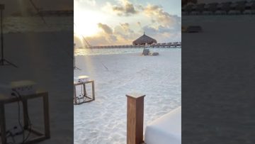 [ID: wFug8AmurjY] Youtube Automatic