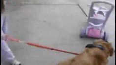 [ID: WJq4jWSQNd8] Youtube Automatic