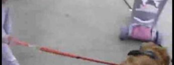 [ID: WJq4jWSQNd8] Youtube Automatic