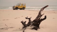 [ID: Wkad6J1cWH0] Youtube Automatic