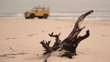 [ID: Wkad6J1cWH0] Youtube Automatic