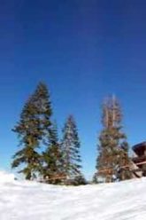 [ID: WpCWqSI6alI] Youtube Automatic