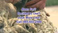 [ID: wqTpHhaKtL8] Youtube Automatic