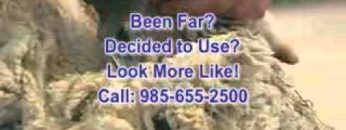 [ID: wqTpHhaKtL8] Youtube Automatic