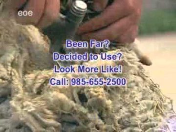 [ID: wqTpHhaKtL8] Youtube Automatic