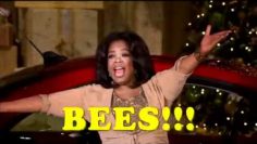 [ID: xAhuSDRIDHE] Youtube Automatic