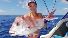 [ID: xOr426HowHQ] Youtube Automatic