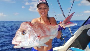 [ID: xOr426HowHQ] Youtube Automatic