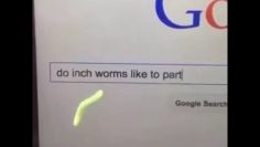 [ID: Z-6S1JtUcqc] Youtube Automatic