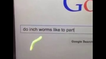 [ID: Z-6S1JtUcqc] Youtube Automatic