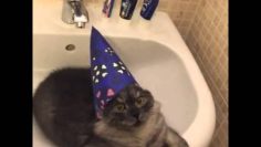 [ID: zKa92AeSByo] Youtube Automatic